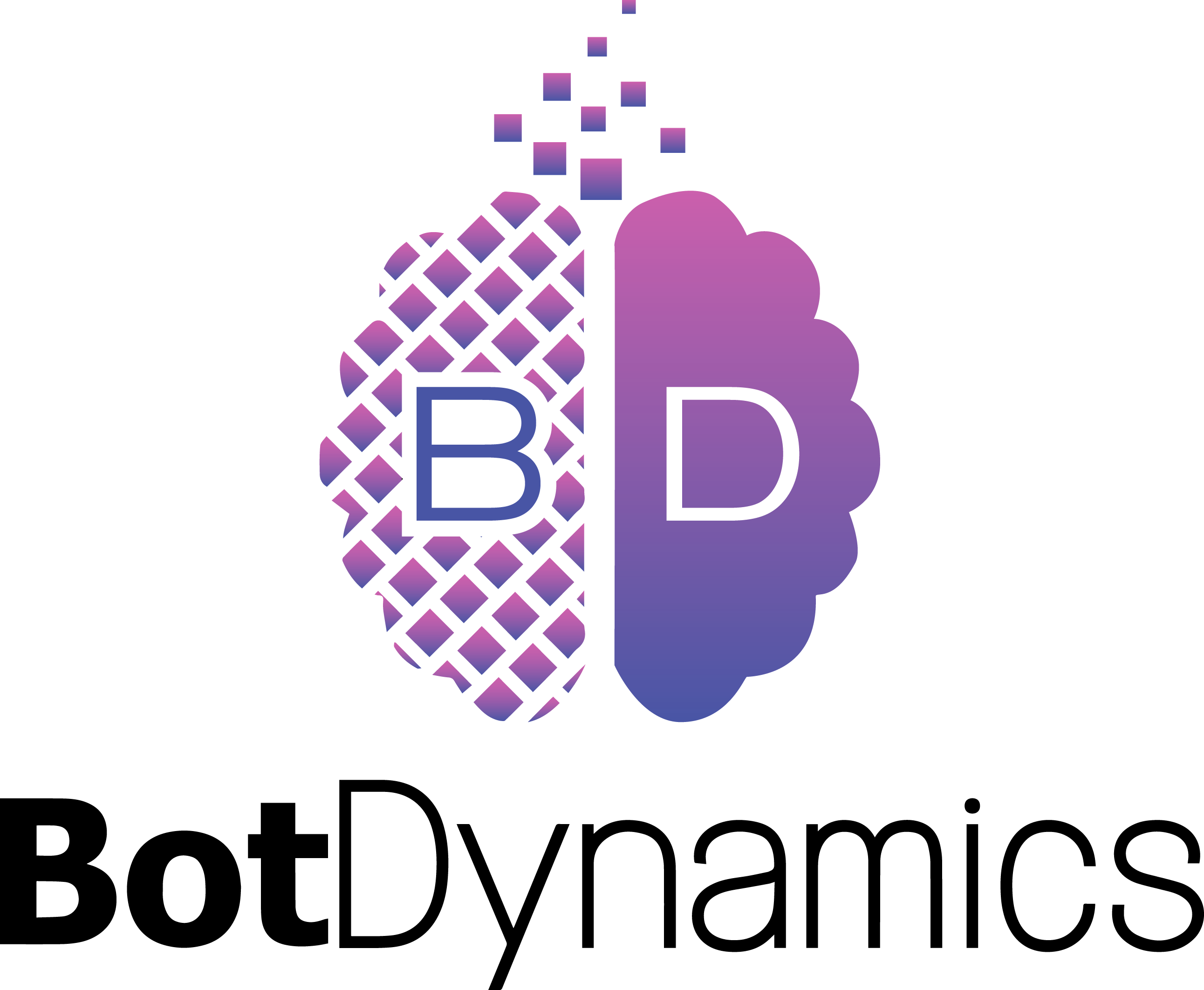 BotDynamics - Chatbots